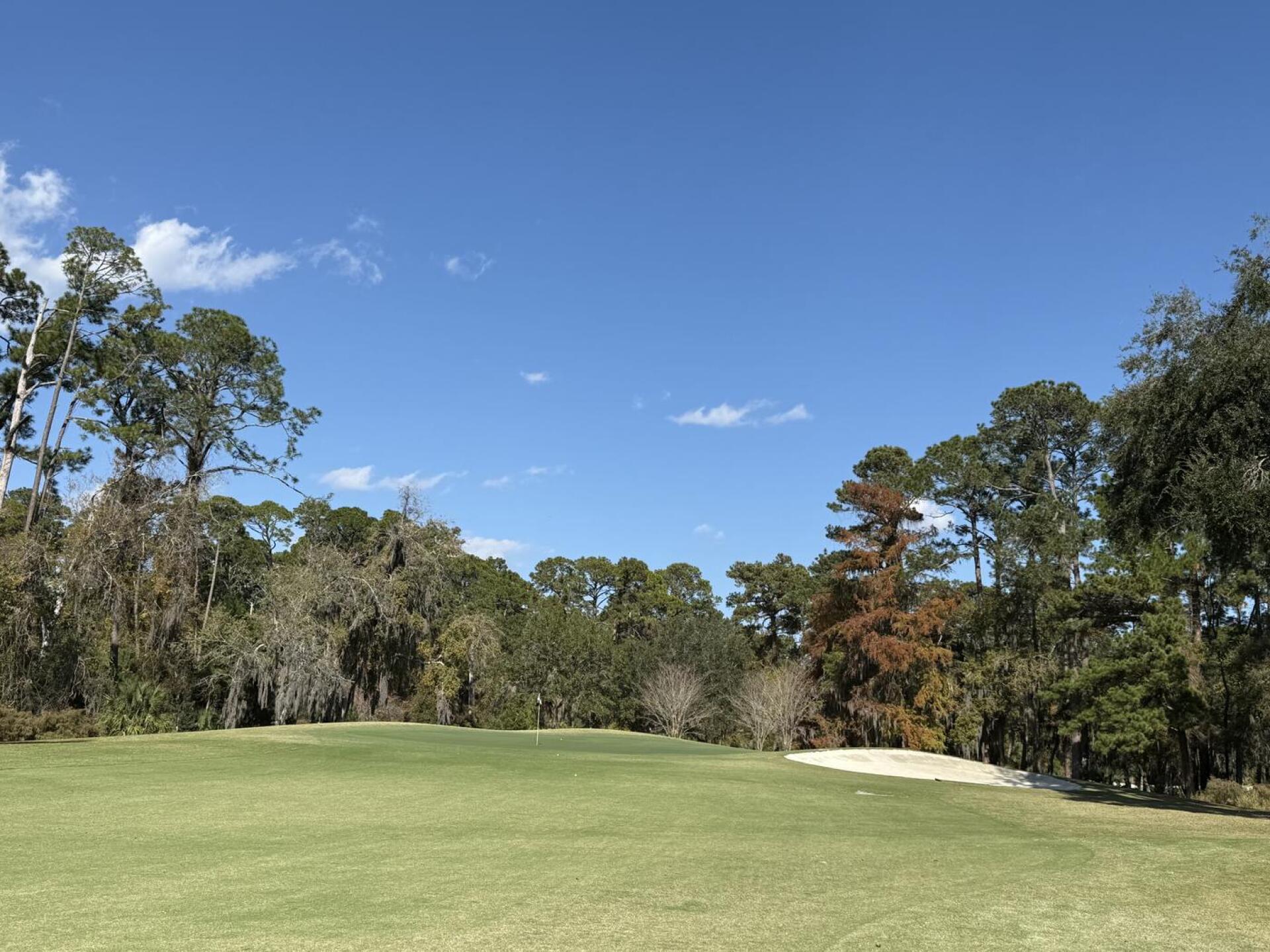 (Photo submitted by ShappyGolf on 11/25/2025)