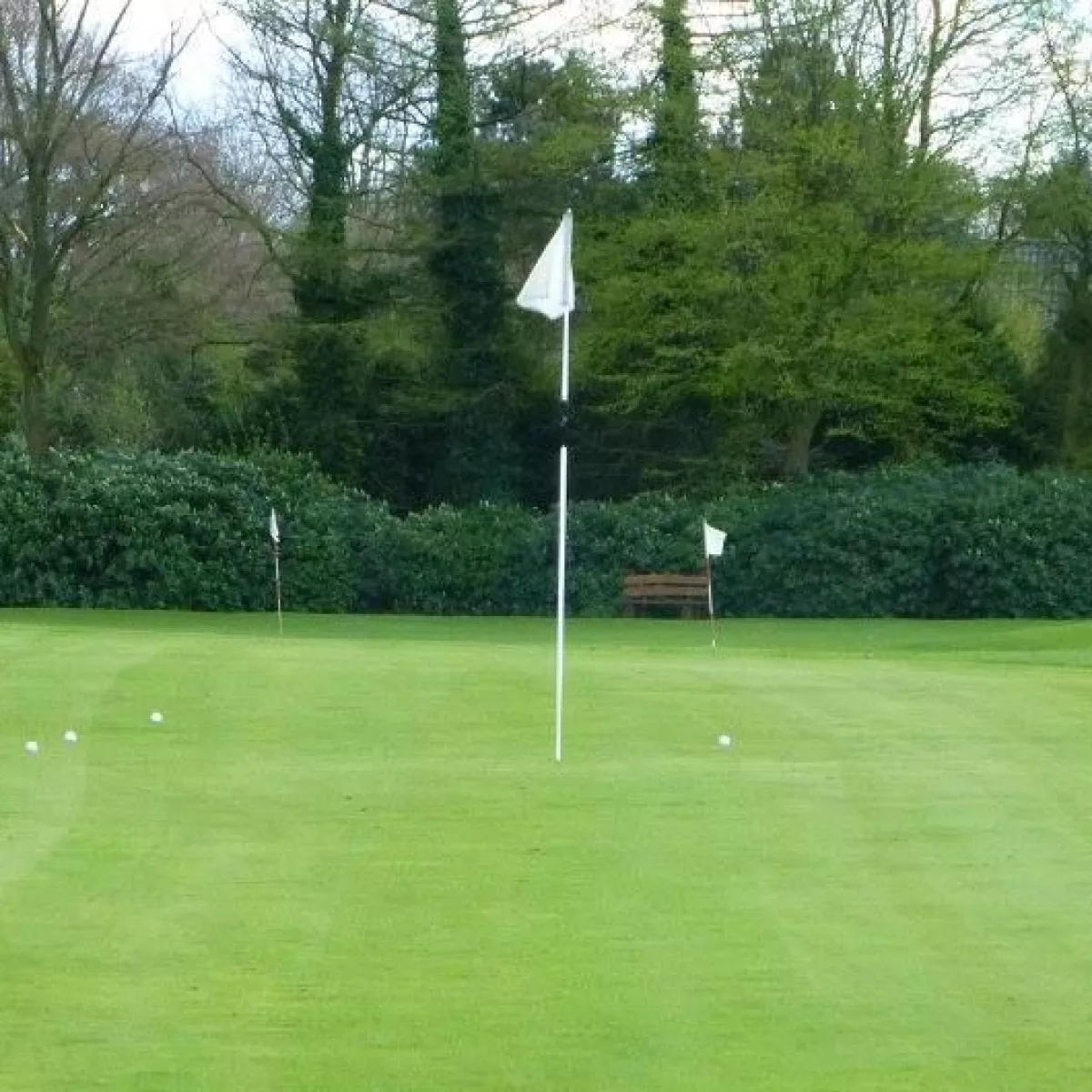 Blauer Fasan Golf B/C Course in Wiesmoor Niedersachsen Germany