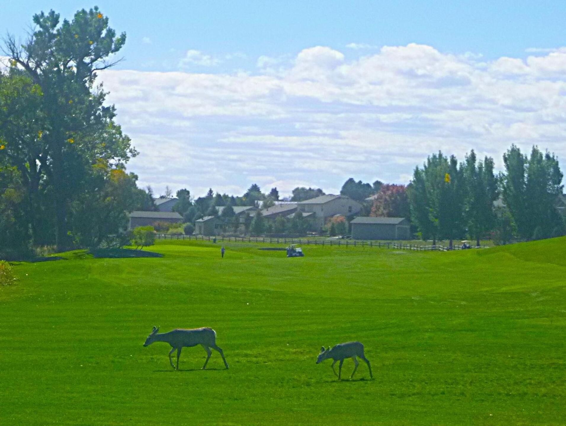 (Photo submitted by DiamondAces on 10/05/2025)