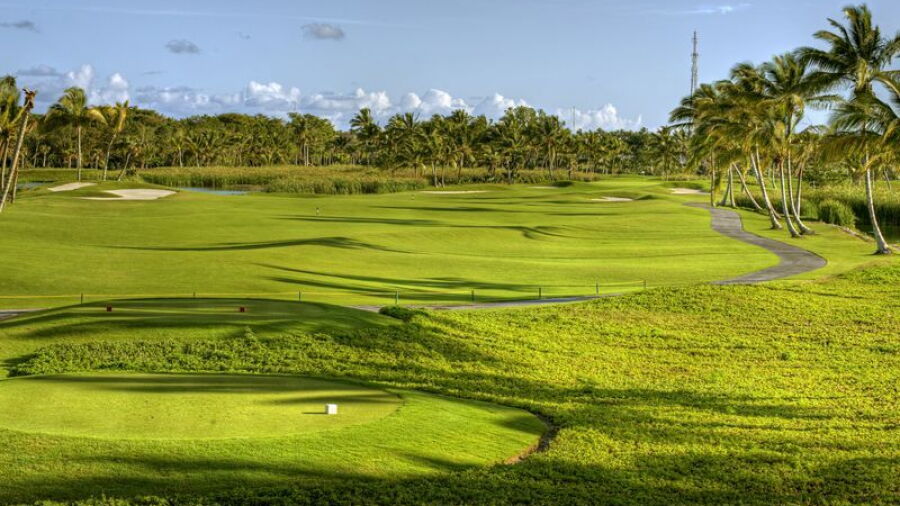 Lakes at Barcelo Bavaro GC: #6
