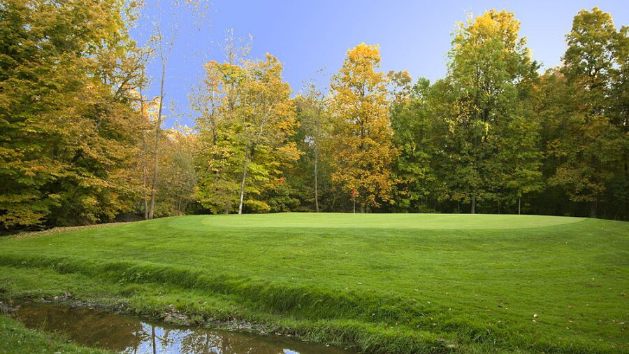 The Pheasant Golf Links