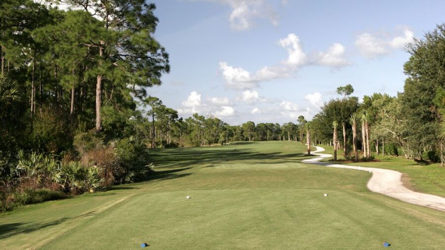 Sandhill Crane GC