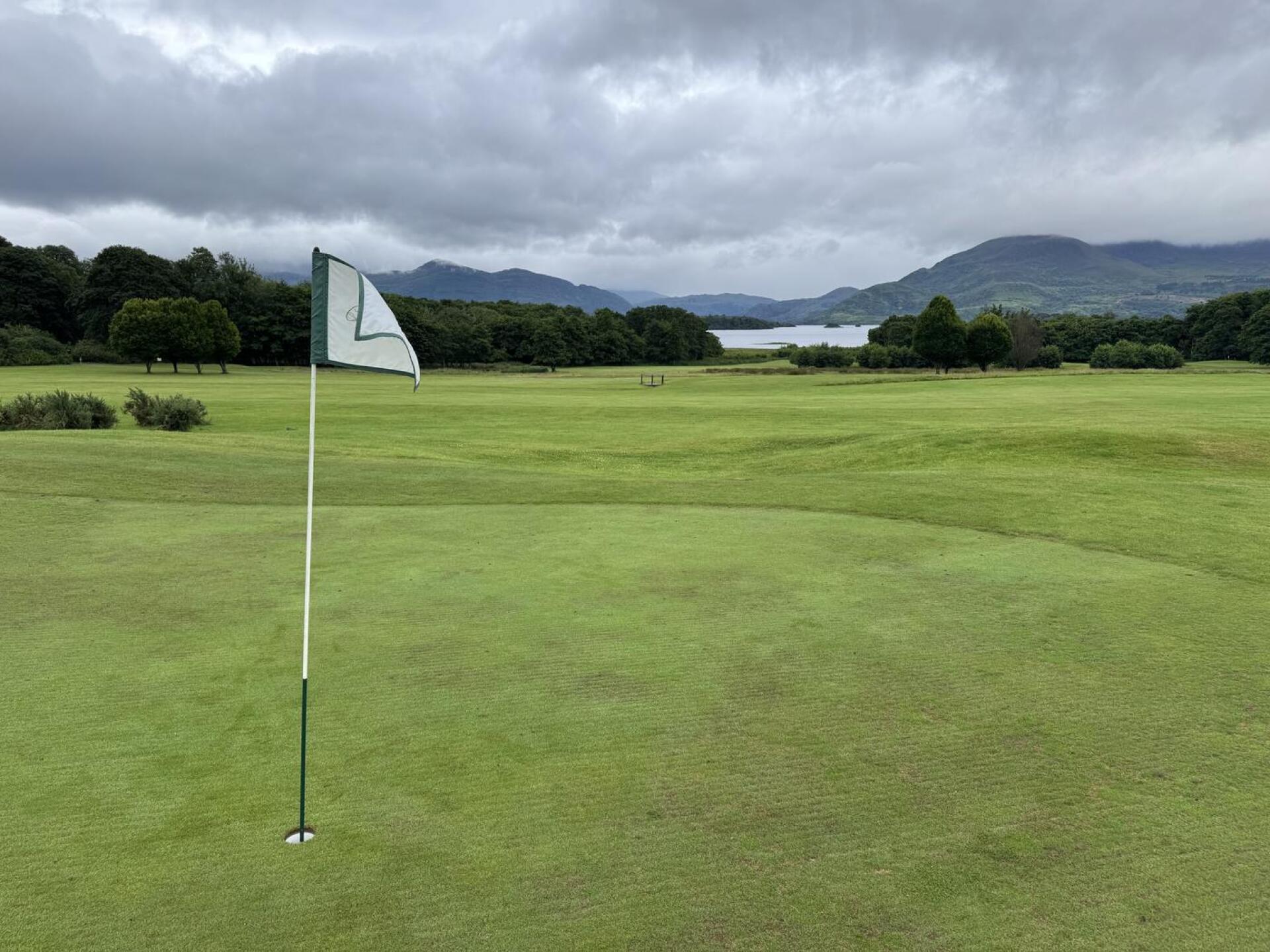 (Photo submitted by u314159362876 on 07/20/2025)