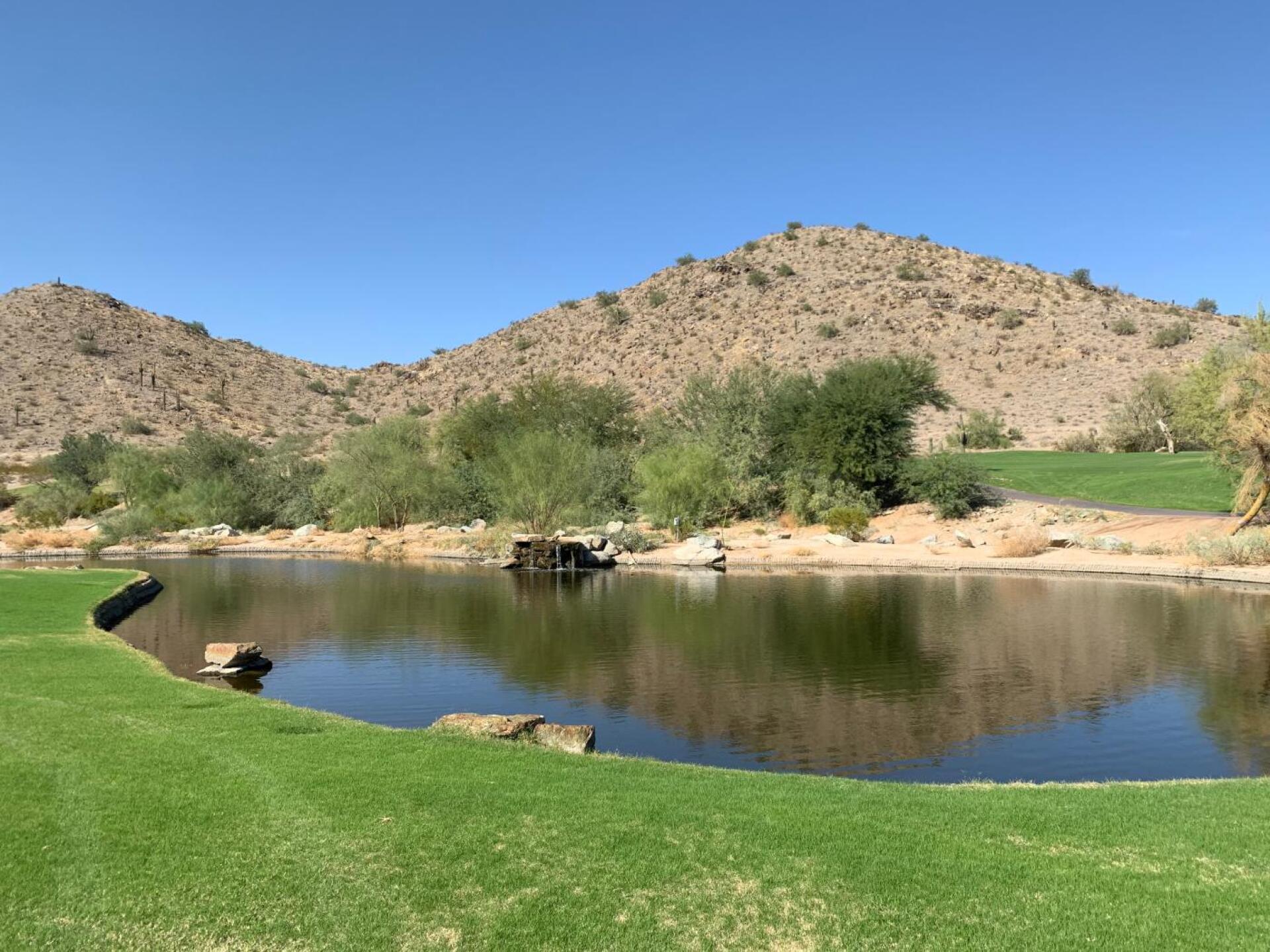 (Photo submitted by buddsnotdudds on 11/12/2019)