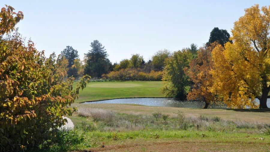 Herington CC