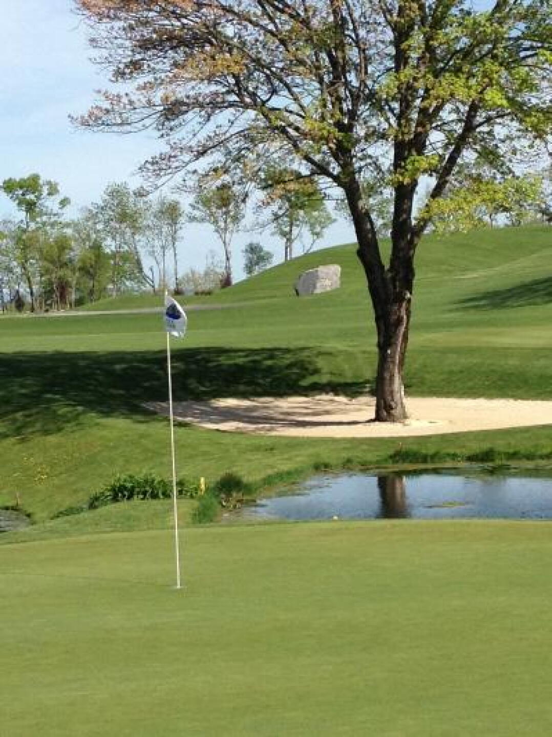 It's a tree - in a sand trap! And it helps separate the Rock course green from the Boulder course green. (Photo submitted by pitsbrgher on 05/06/2013)