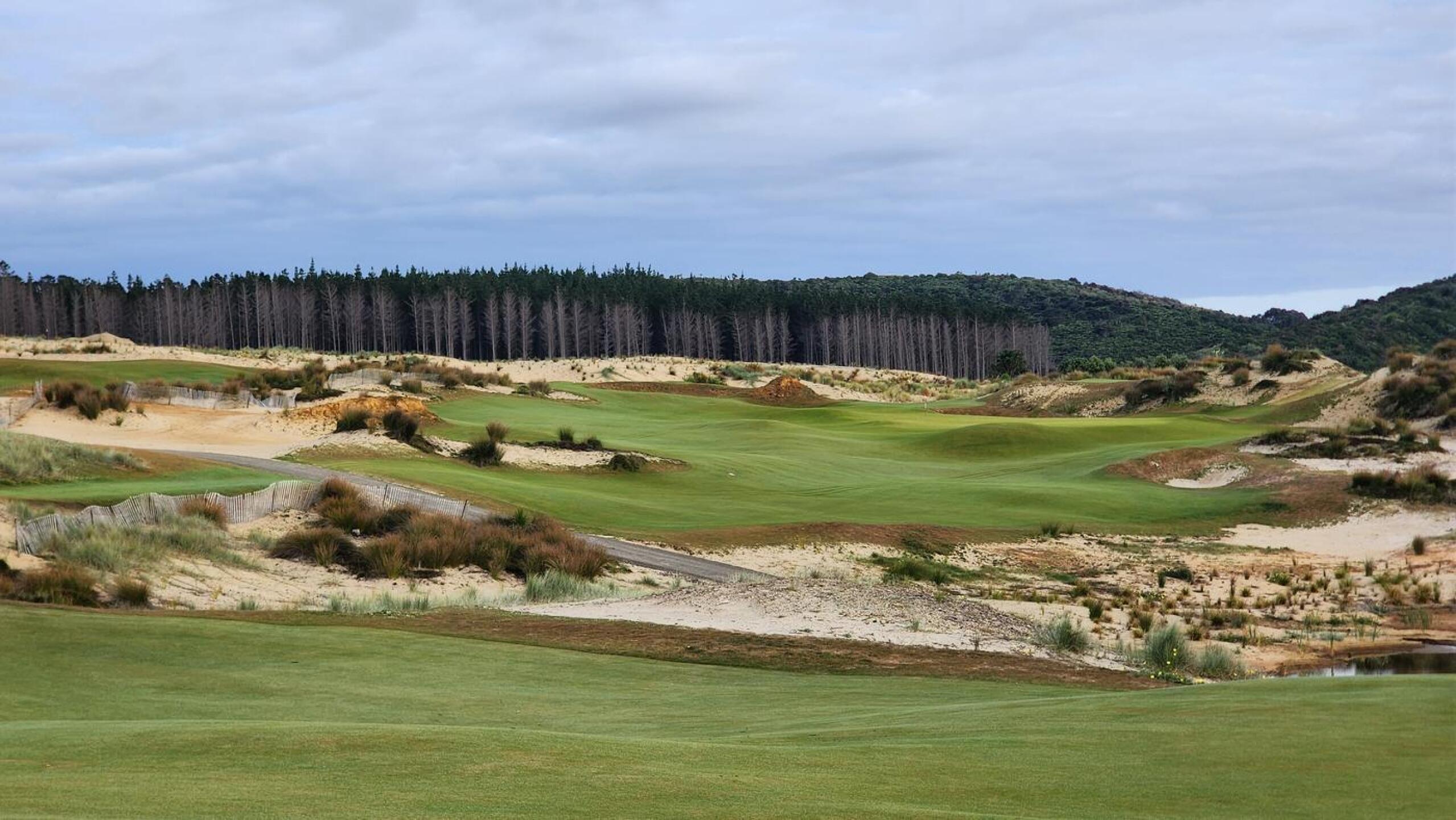 (Photo submitted by nickng316 on 03/18/2024)