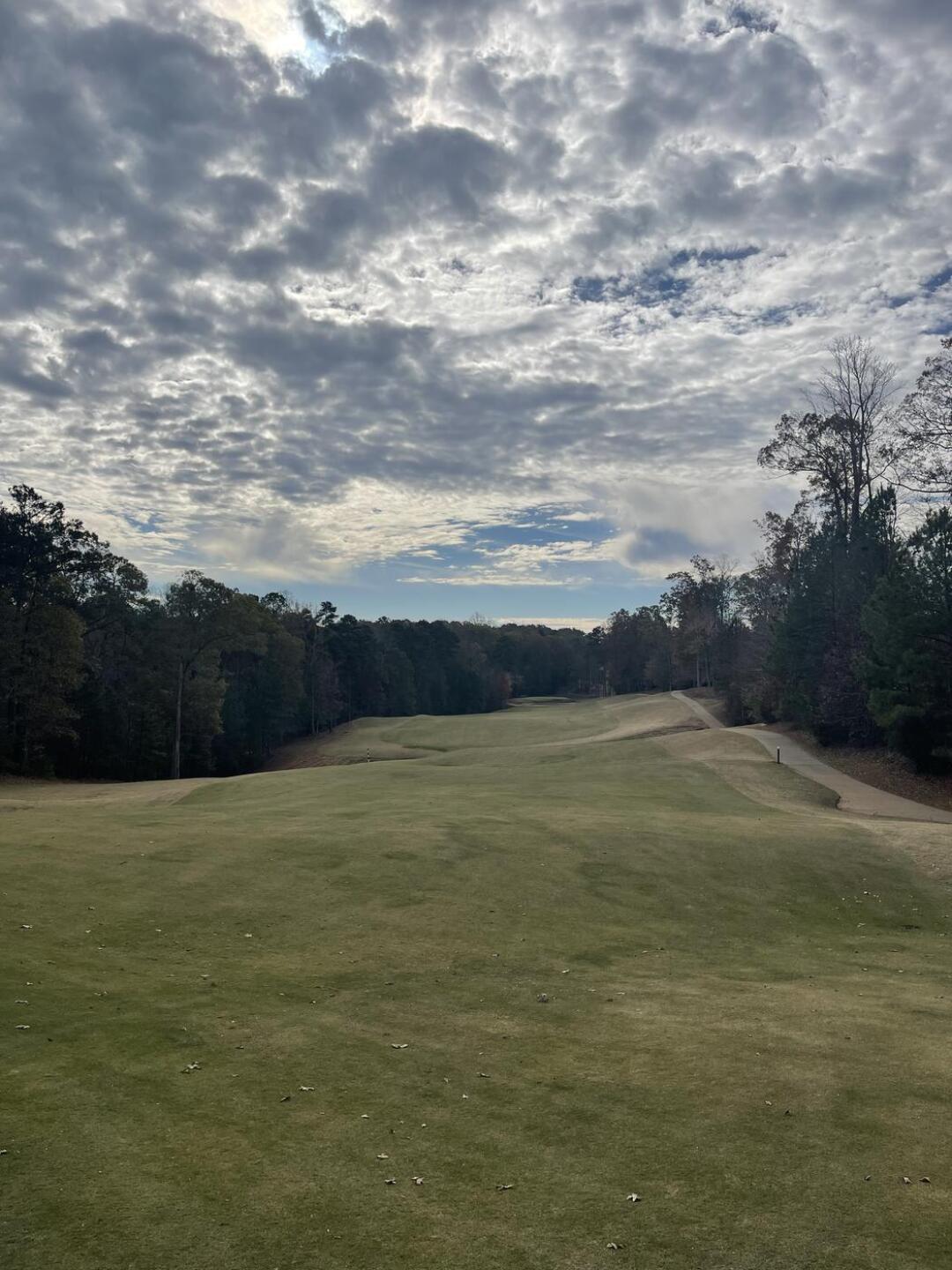 (Photo submitted by senfbw01 on 11/22/2022)