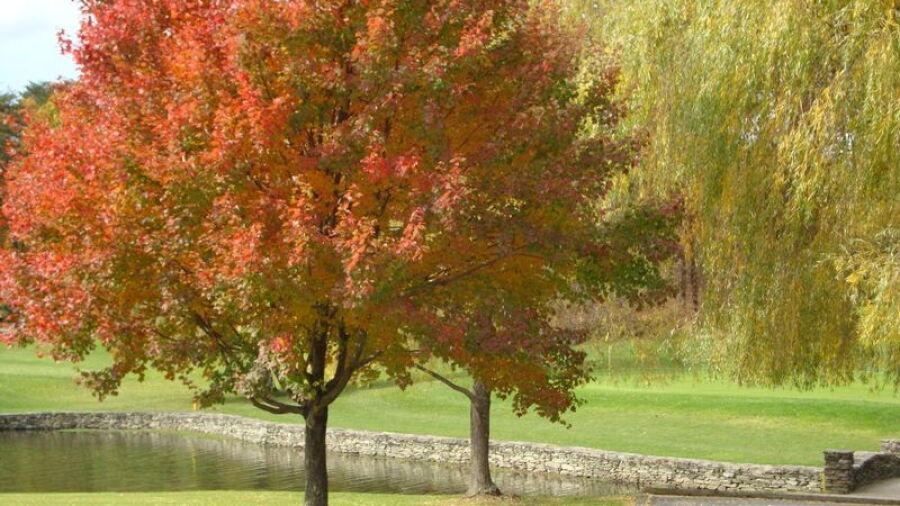 Wyoming Valley CC
