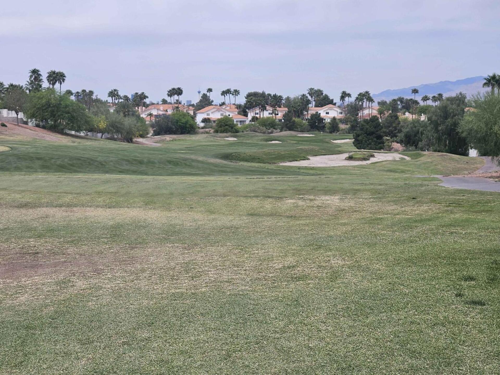 (Photo submitted by u314161622535 on 04/06/2026)