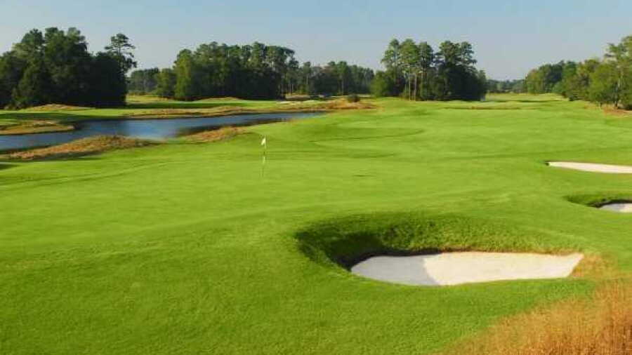 Wild Wing Plantation - Hummingbird: #4