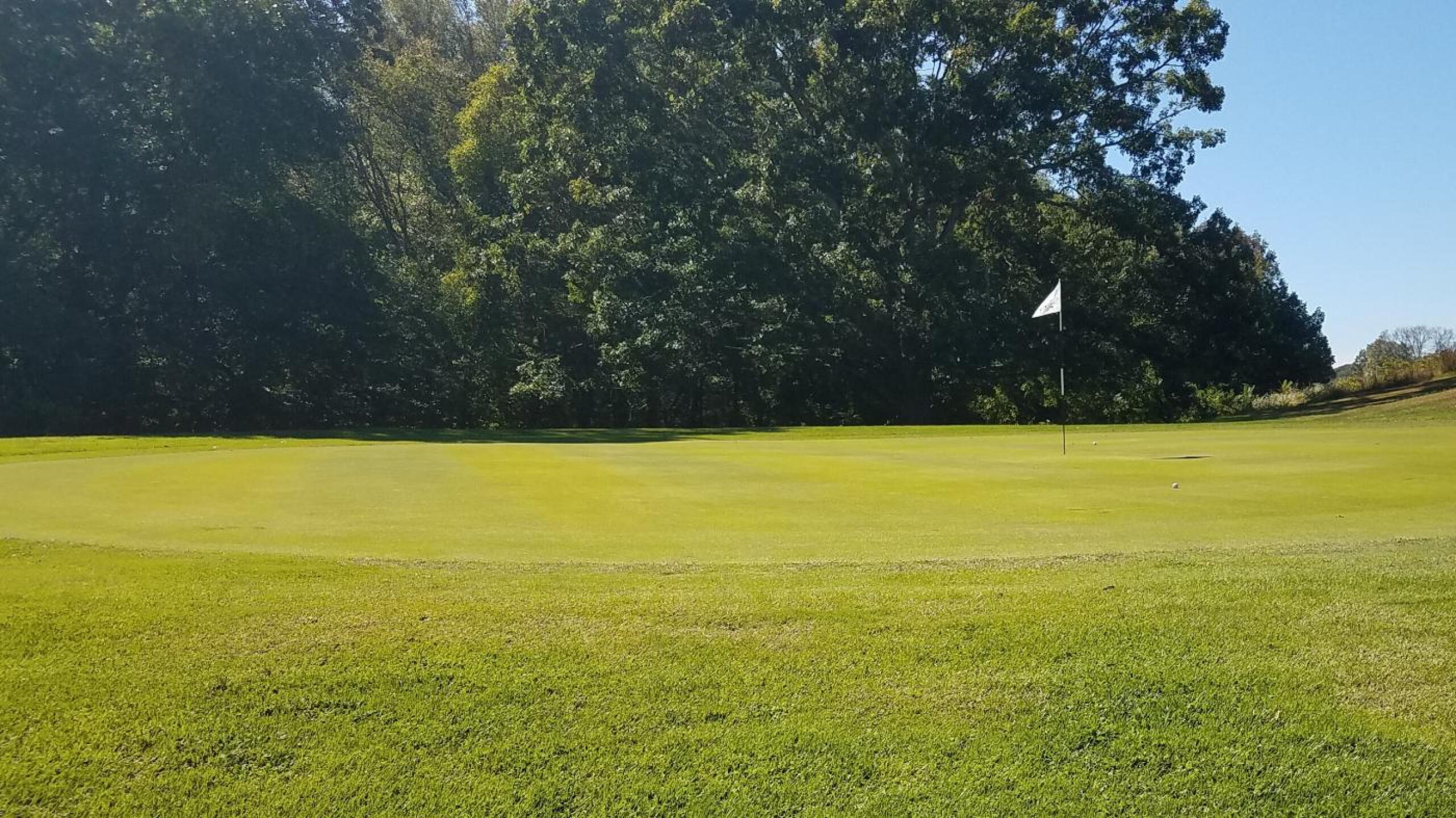 The 7th green. (Photo submitted by AptlyLinked on 09/29/2019)