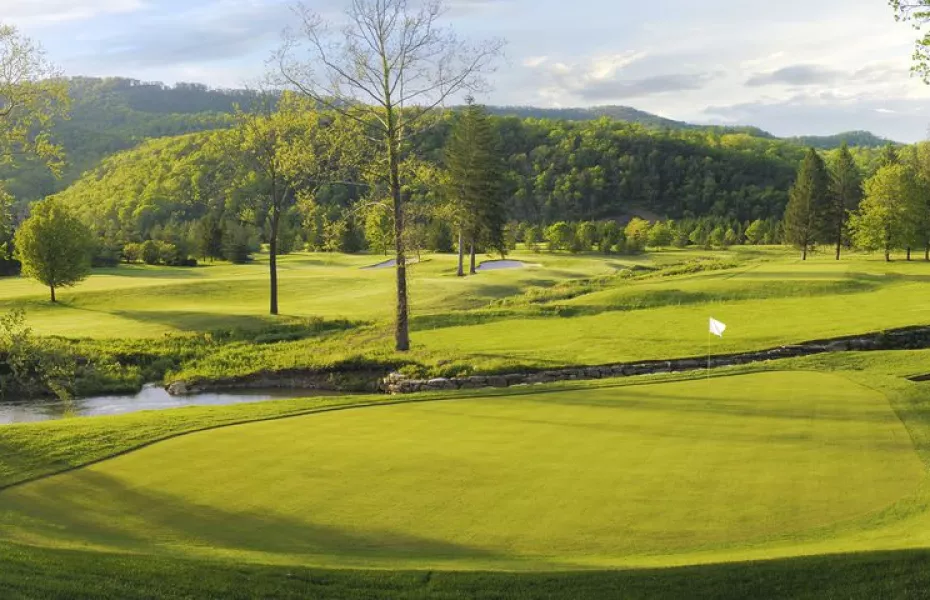Greenbrier - Meadows: #12