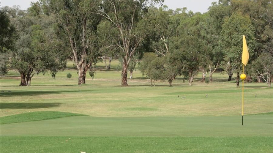 Cootamundra CC: #18