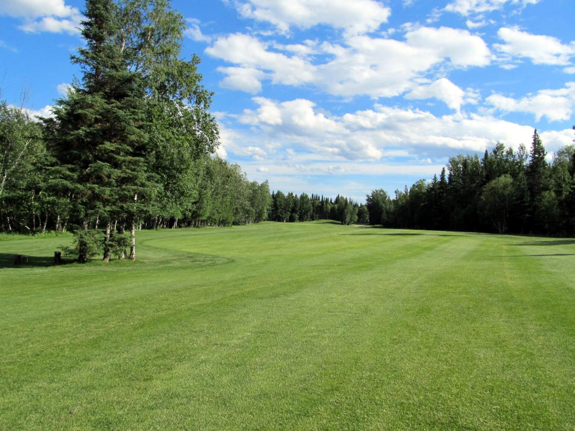 Elk Ridge Resort, Tamarack, Hole 4, Par 5, 557 yds, 250 yds out (Photo submitted by DYakimec on 03/25/2016)
