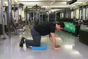 Module 01: Segment 03: Day 2 - Exercise 4 - Bird dogs