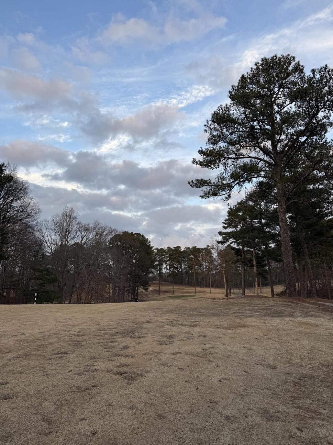 (Photo submitted by Raymond9great on 12/28/2025)