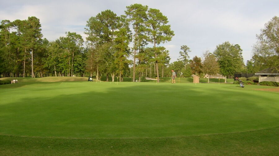 Emerald GC: Practice area