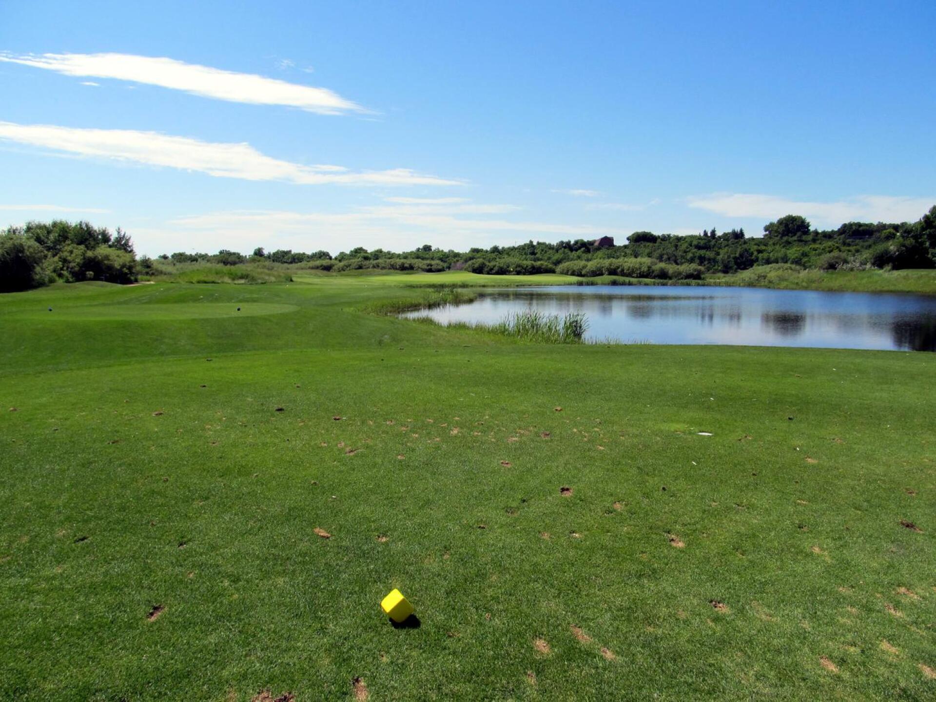 Moonlake G&CC, The Moors, Hole 8, Par 3, 182 yds (Photo submitted by DYakimec on 03/26/2020)