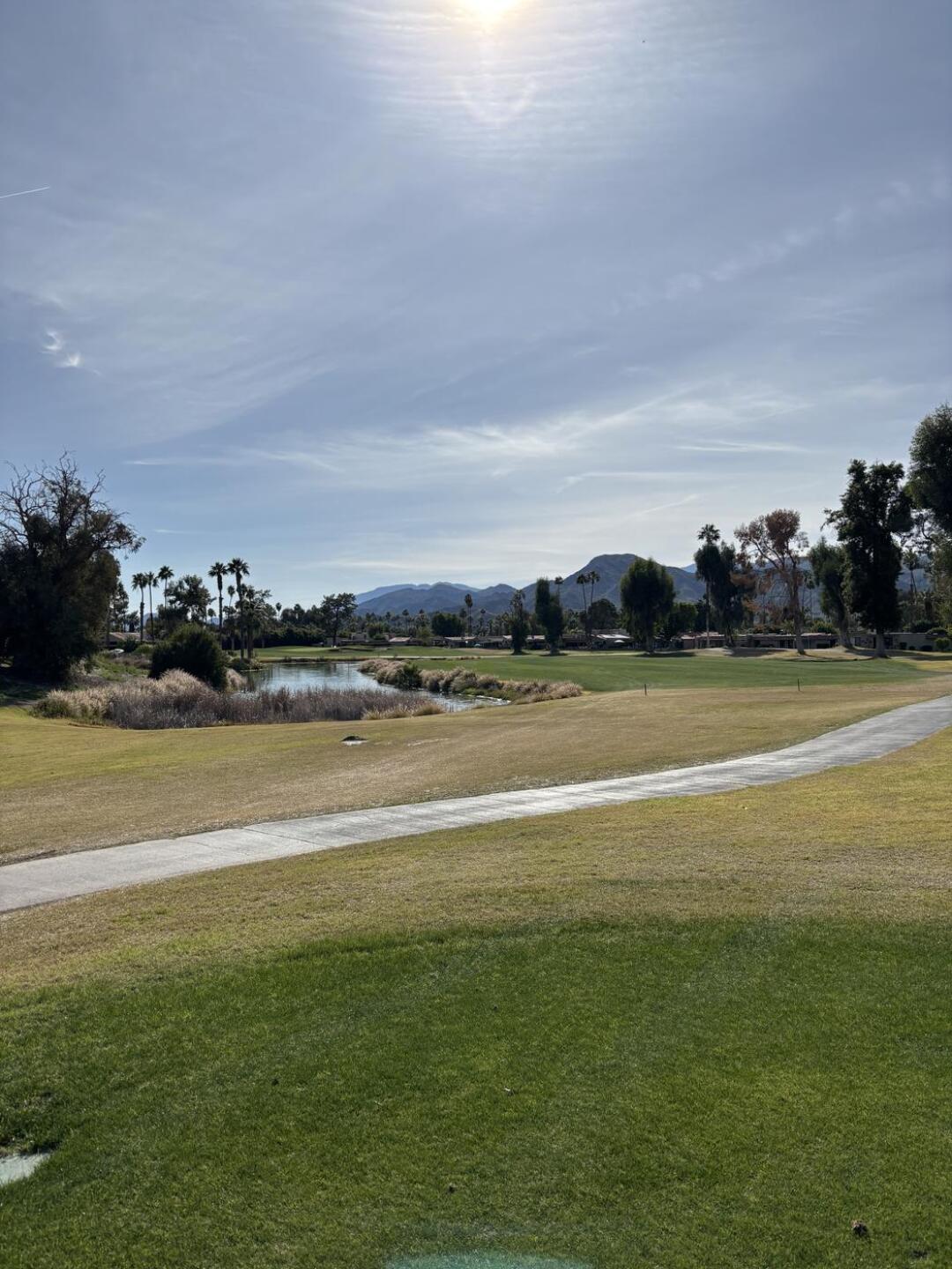 (Photo submitted by hvjones on 01/26/2026)