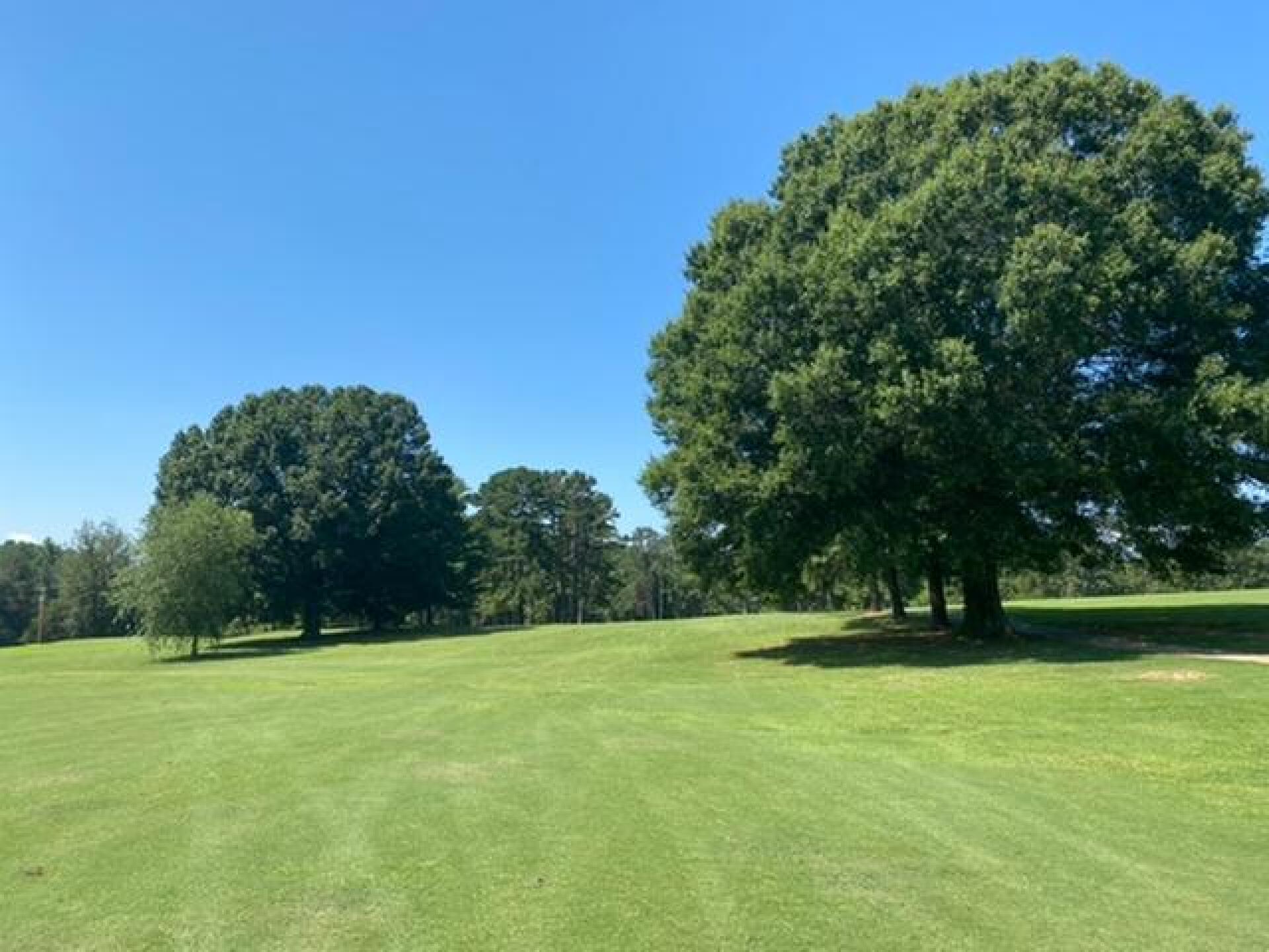 (Photo submitted by u000001440589 on 08/03/2020)