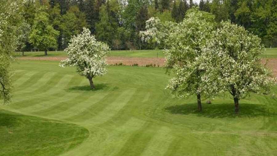 Swarco Amstetten-Fershnitz GC