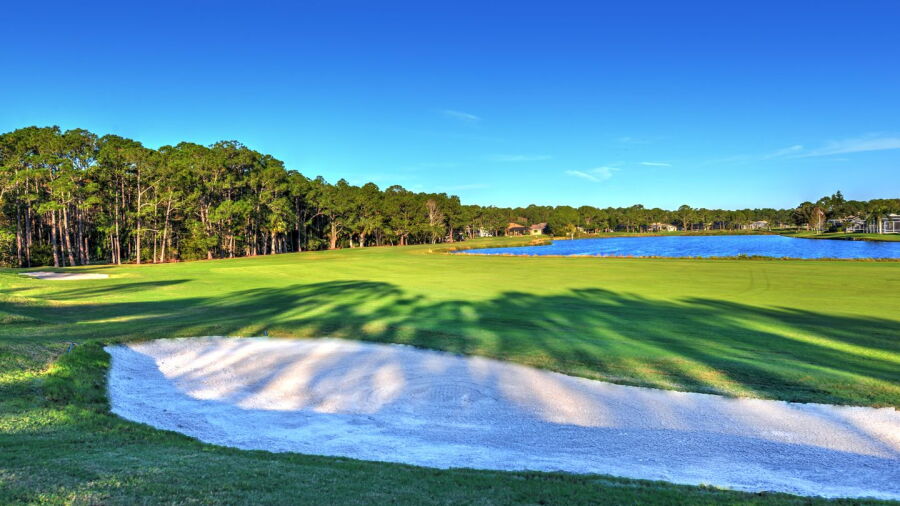 Cypress Head GC