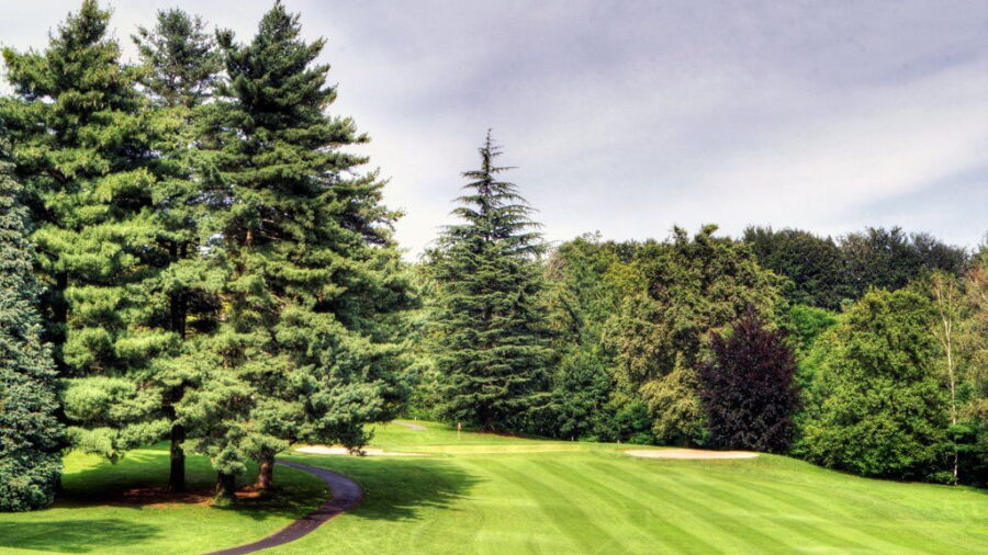 Varese GC