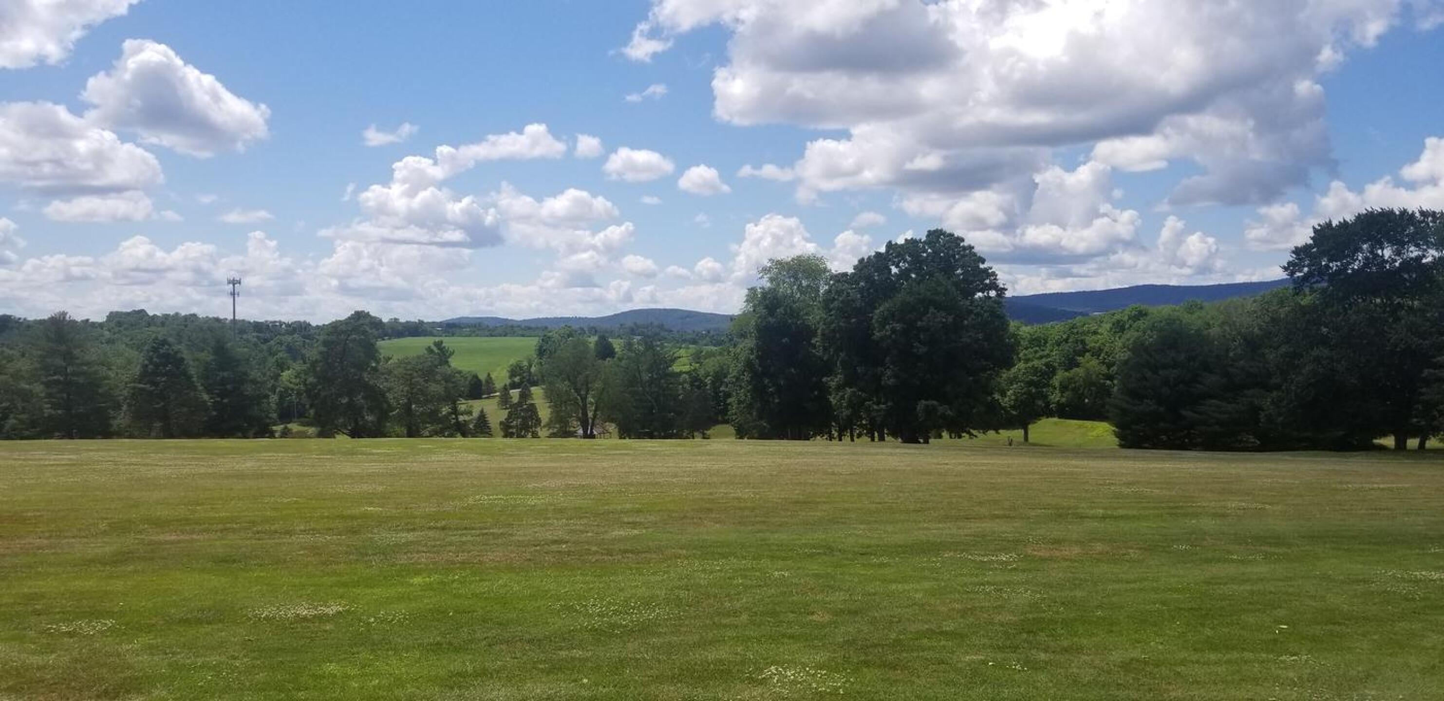 (Photo submitted by manofsteel30 on 07/02/2020)