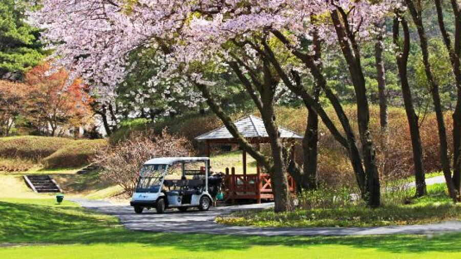 Pine Resort GC