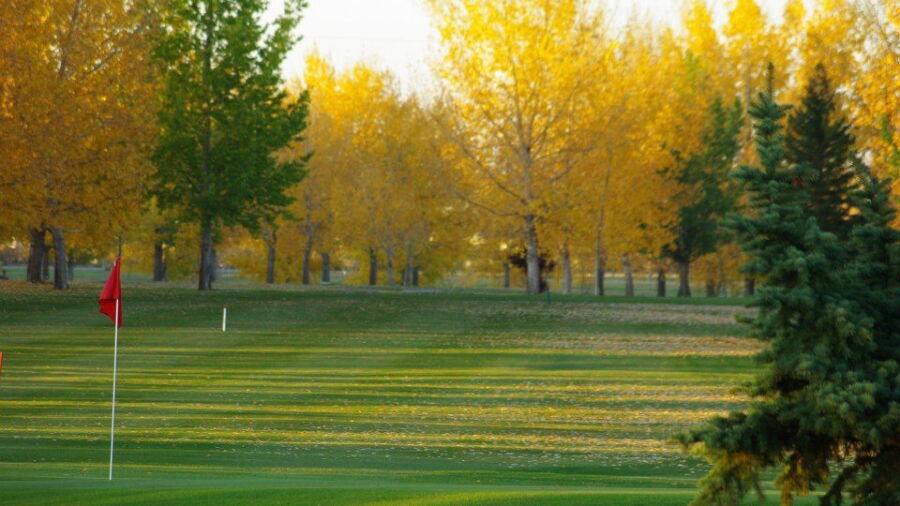 Weyburn GC