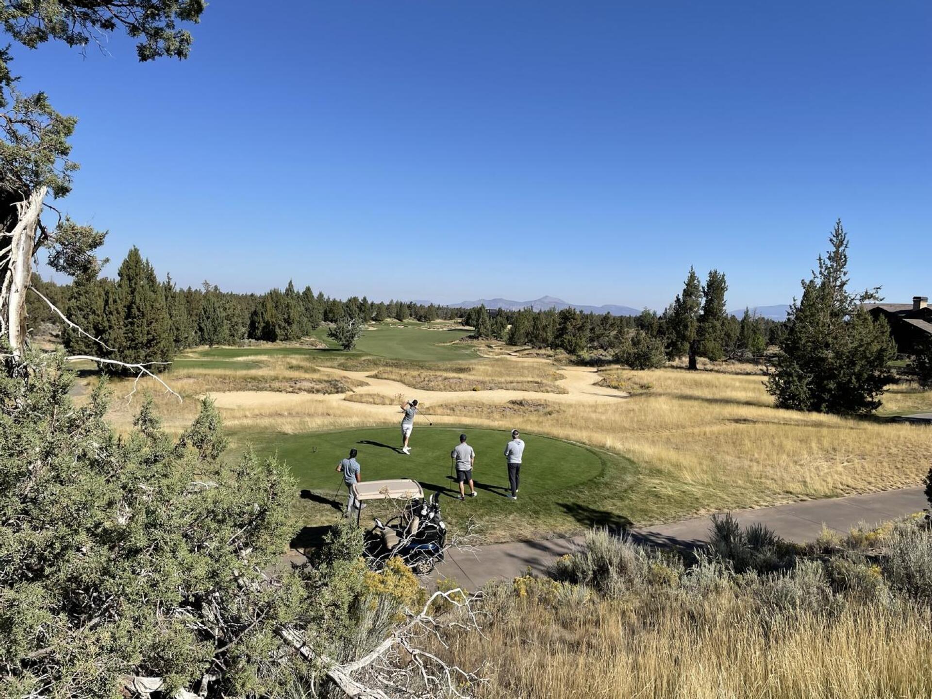 (Photo submitted by JasonDeeganGA on 11/29/2022)