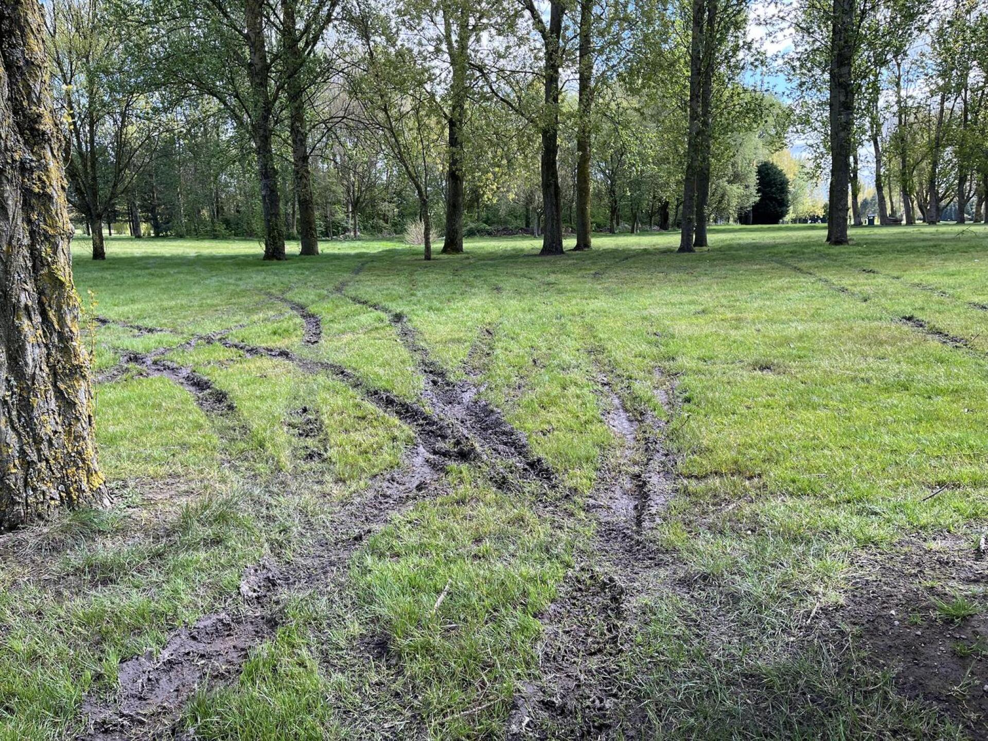 In the middle of the fairway (Photo submitted by John3620 on 04/24/2024)