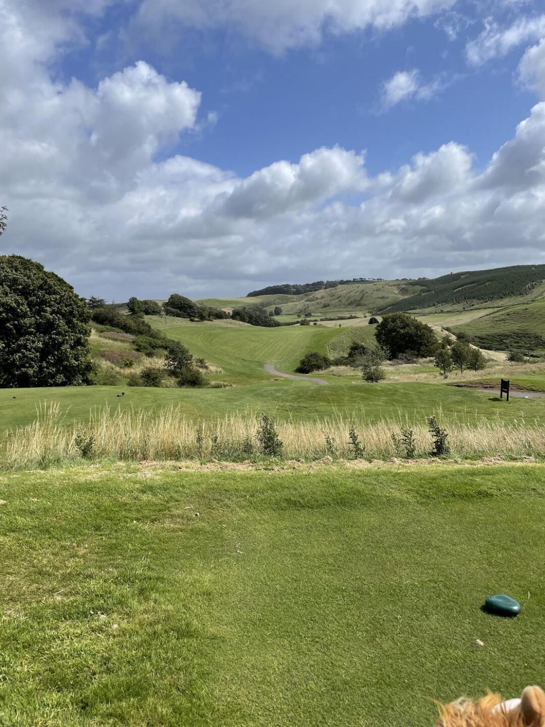 (Photo submitted by JcukCqJ7LxfzgNWZH4bH on 08/05/2025)