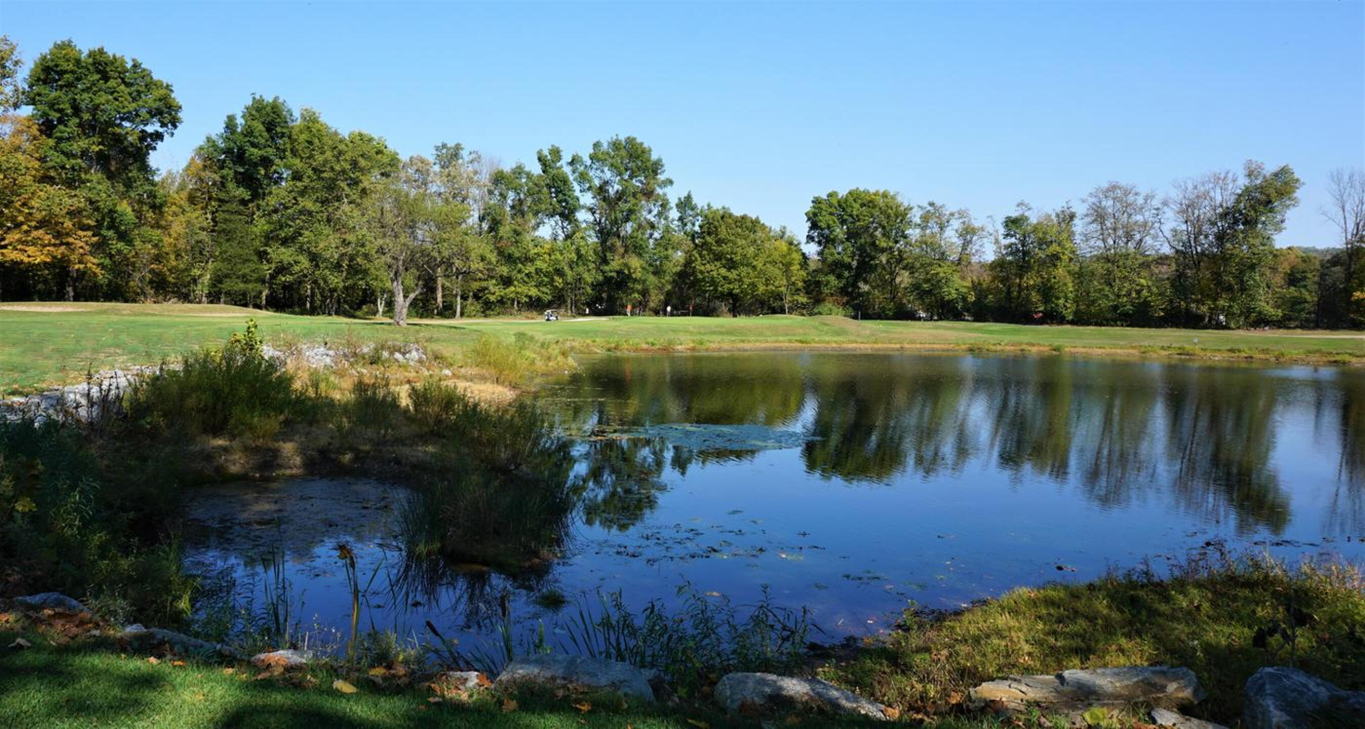 The view across the pond at the third—playable from this tee as a 3-par. (Photo submitted by AptlyLinked on 10/12/2020)