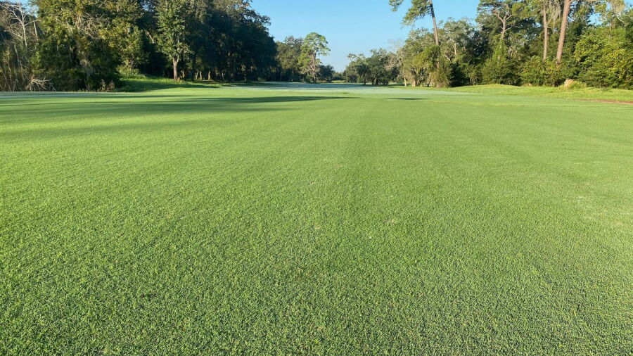 Blue Cypress GC