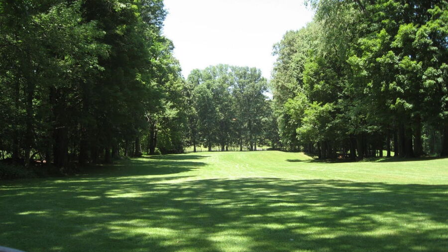 Timberlink GC
