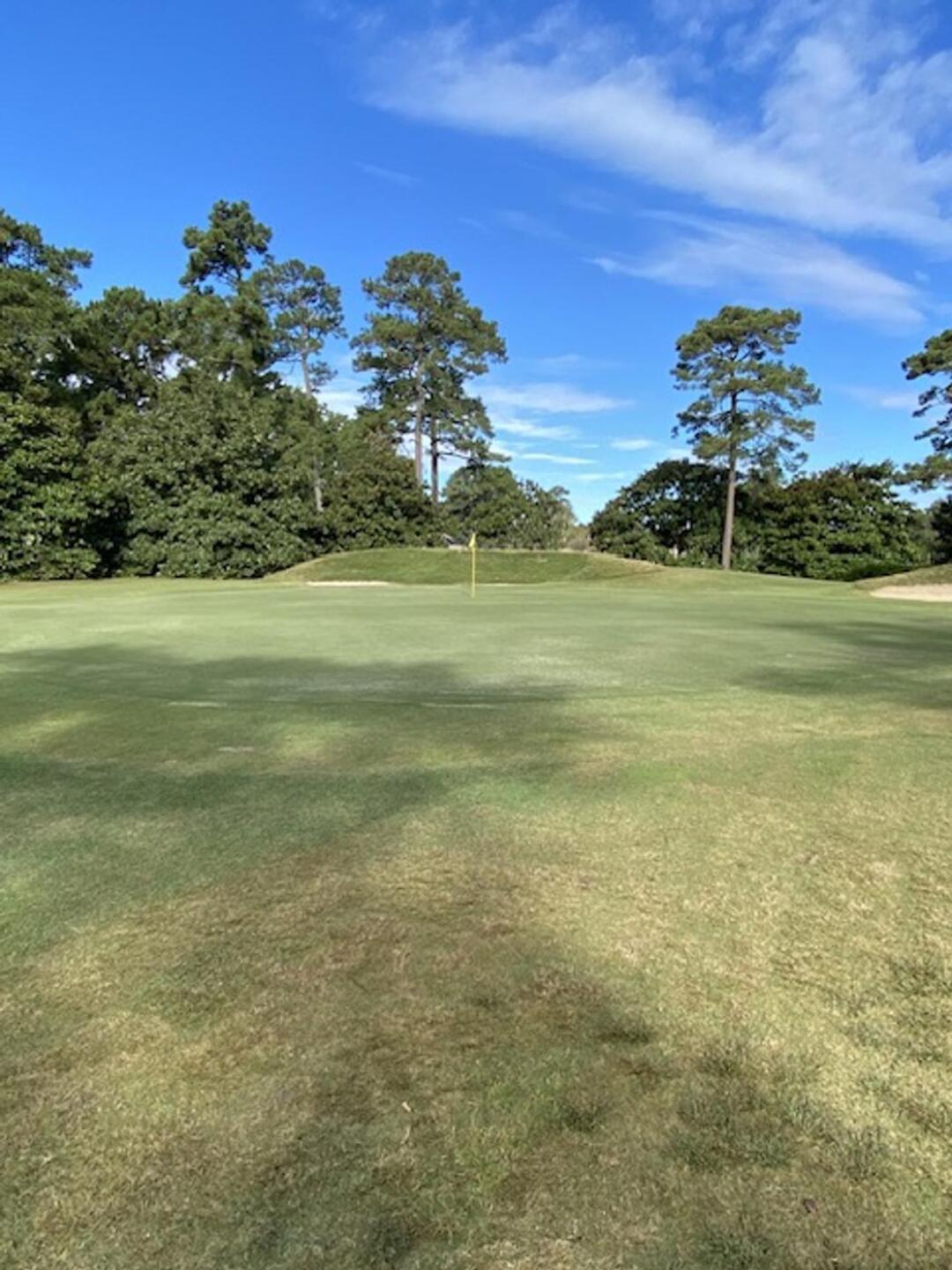 (Photo submitted by jkizme on 10/20/2023)