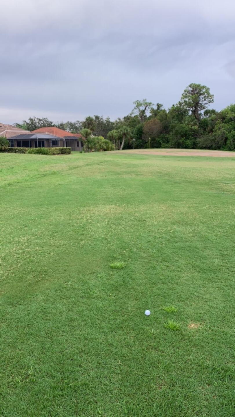 Couples weeds on fairway, green is almost completely dead. (Photo submitted by mattbell566 on 09/19/2023)