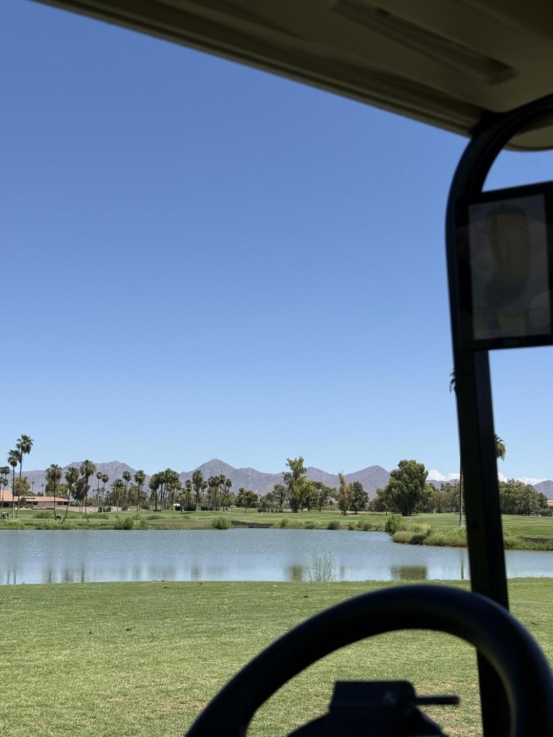 (Photo submitted by u314167345667 on 08/03/2025)