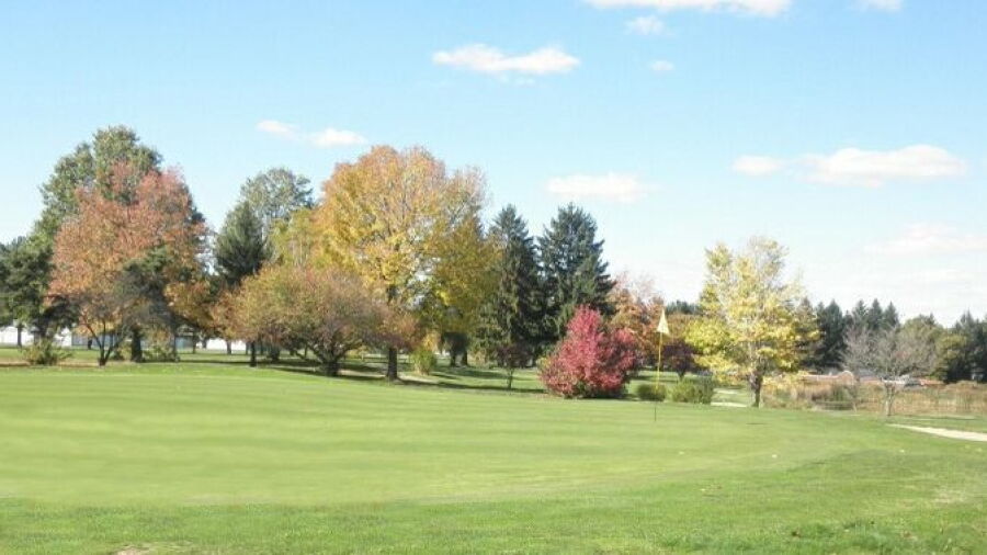 Dyer CC