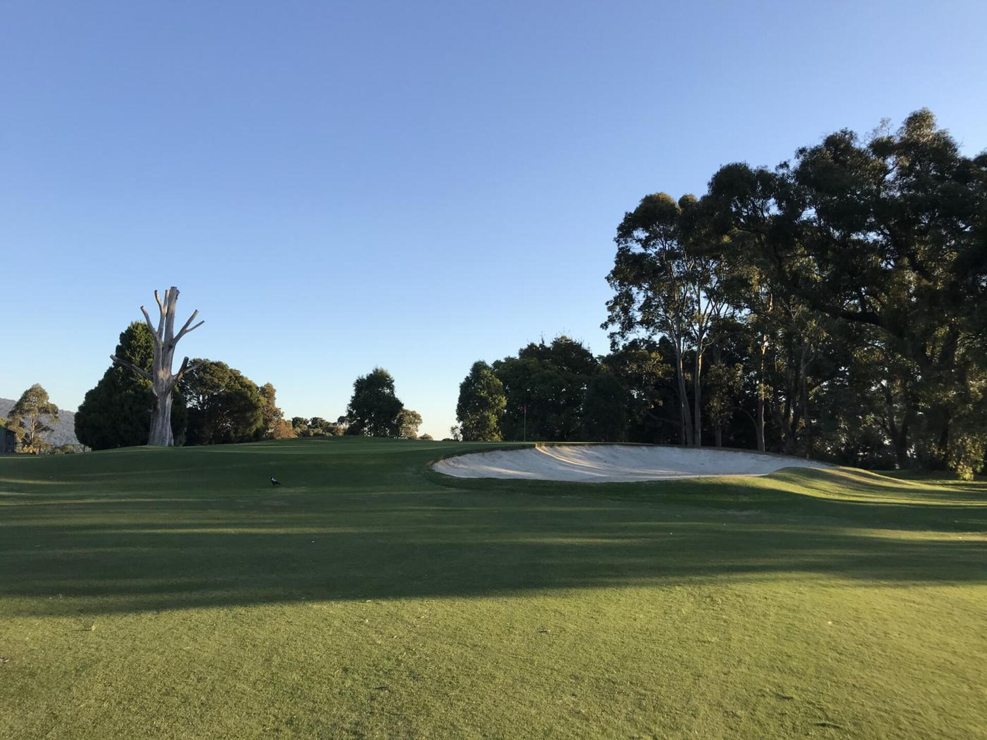 Uphill 16th green (Photo submitted by theglasseyegolfer on 04/30/2021)