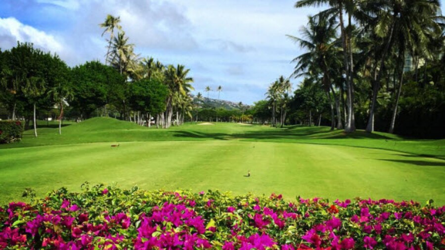 Waialae C.C. golf course 