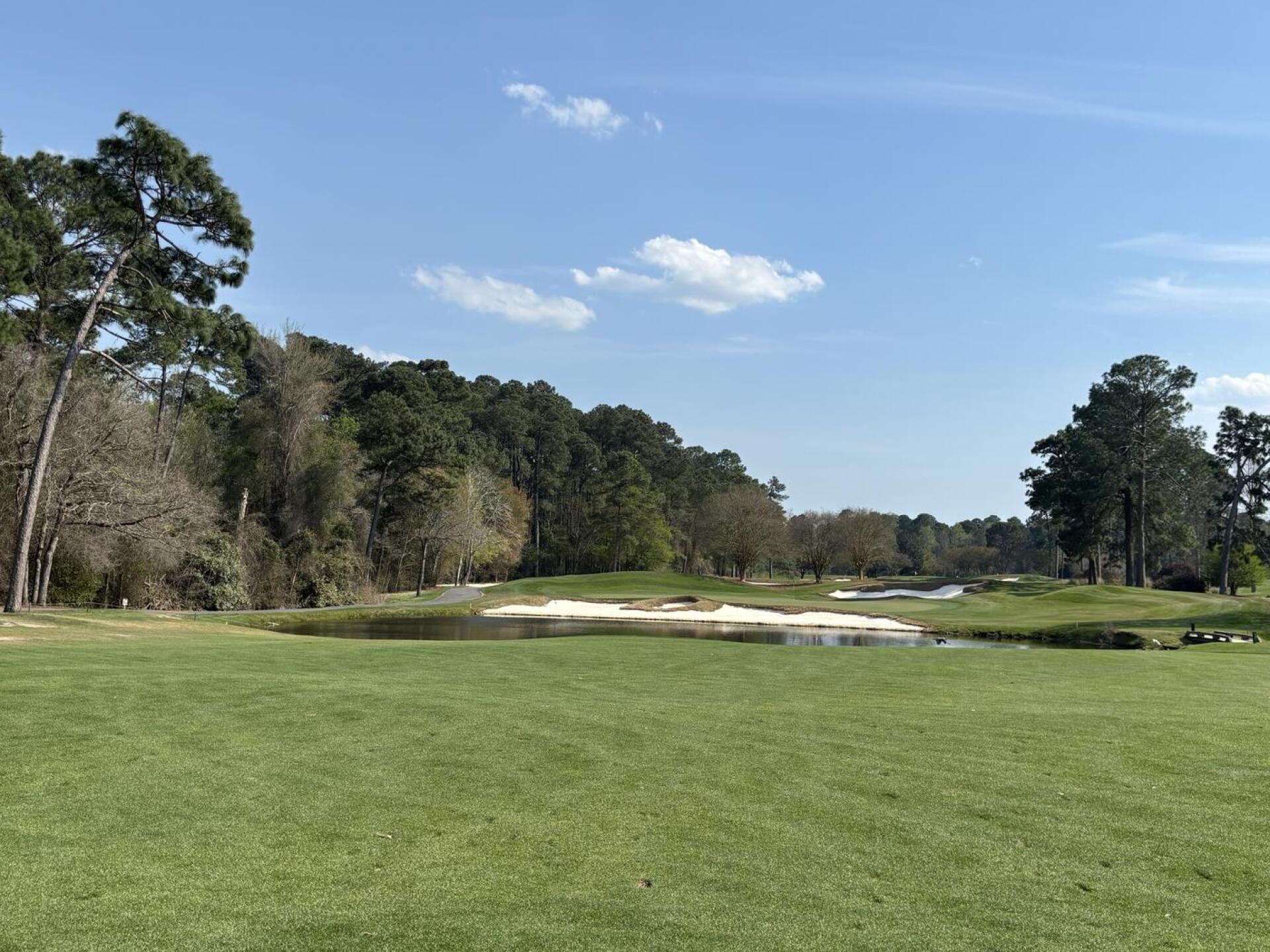 (Photo submitted by jenbag23 on 03/23/2026)