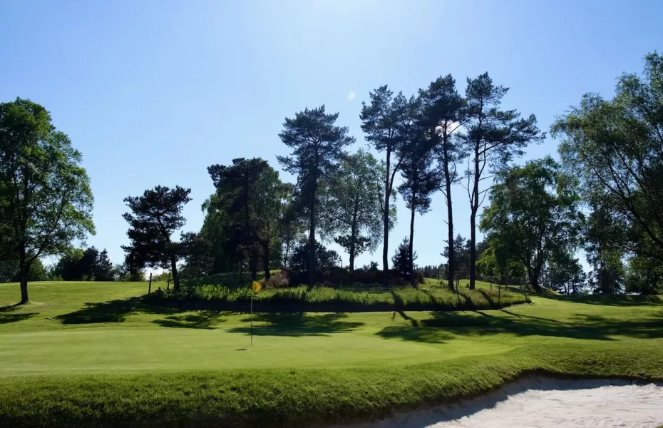 Hayston GC: #8