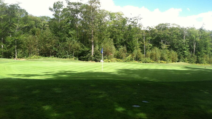 Toddy Brook GC