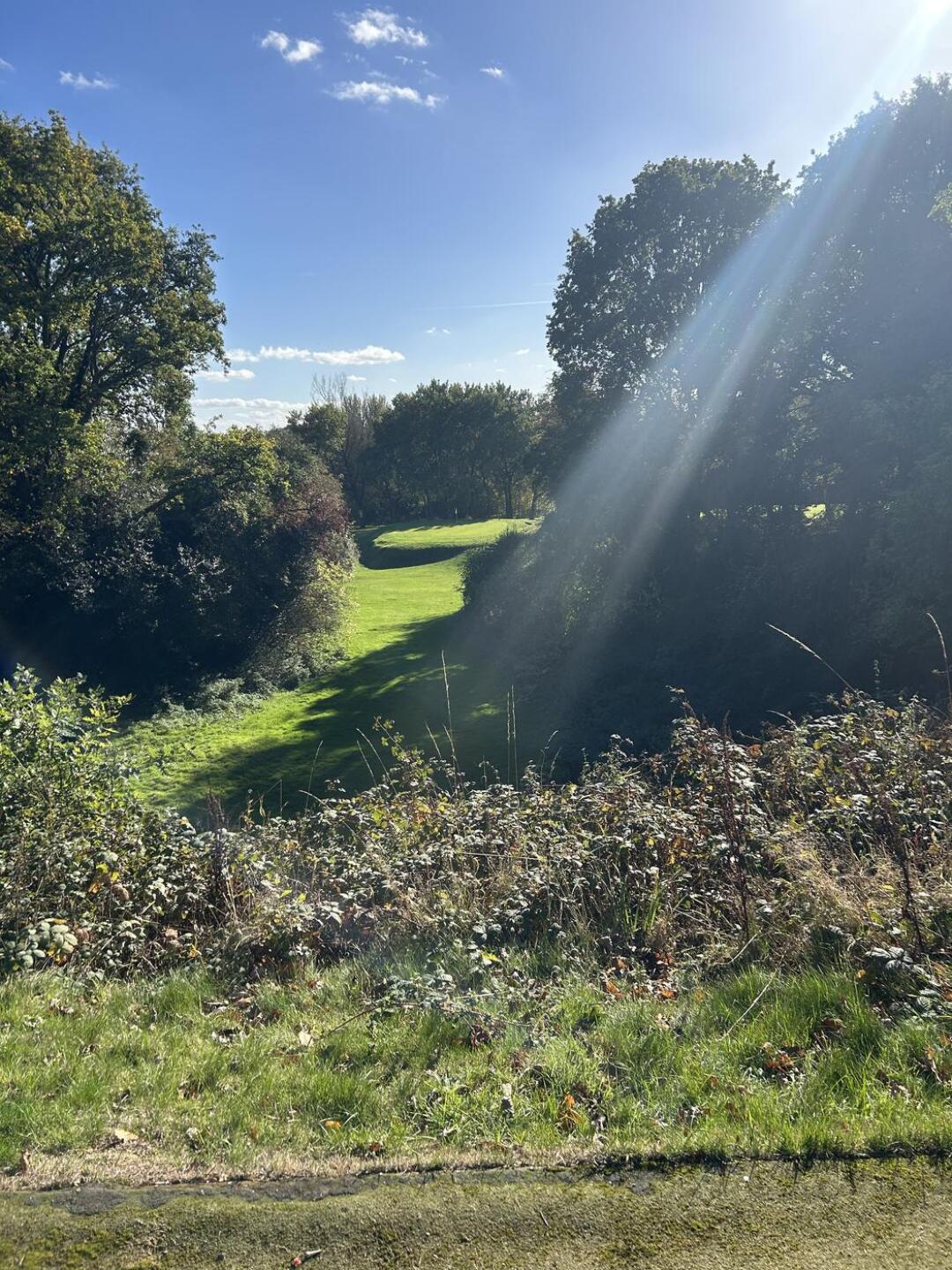 Par 3 12th hole (Photo submitted by gmillar74 on 10/10/2022)