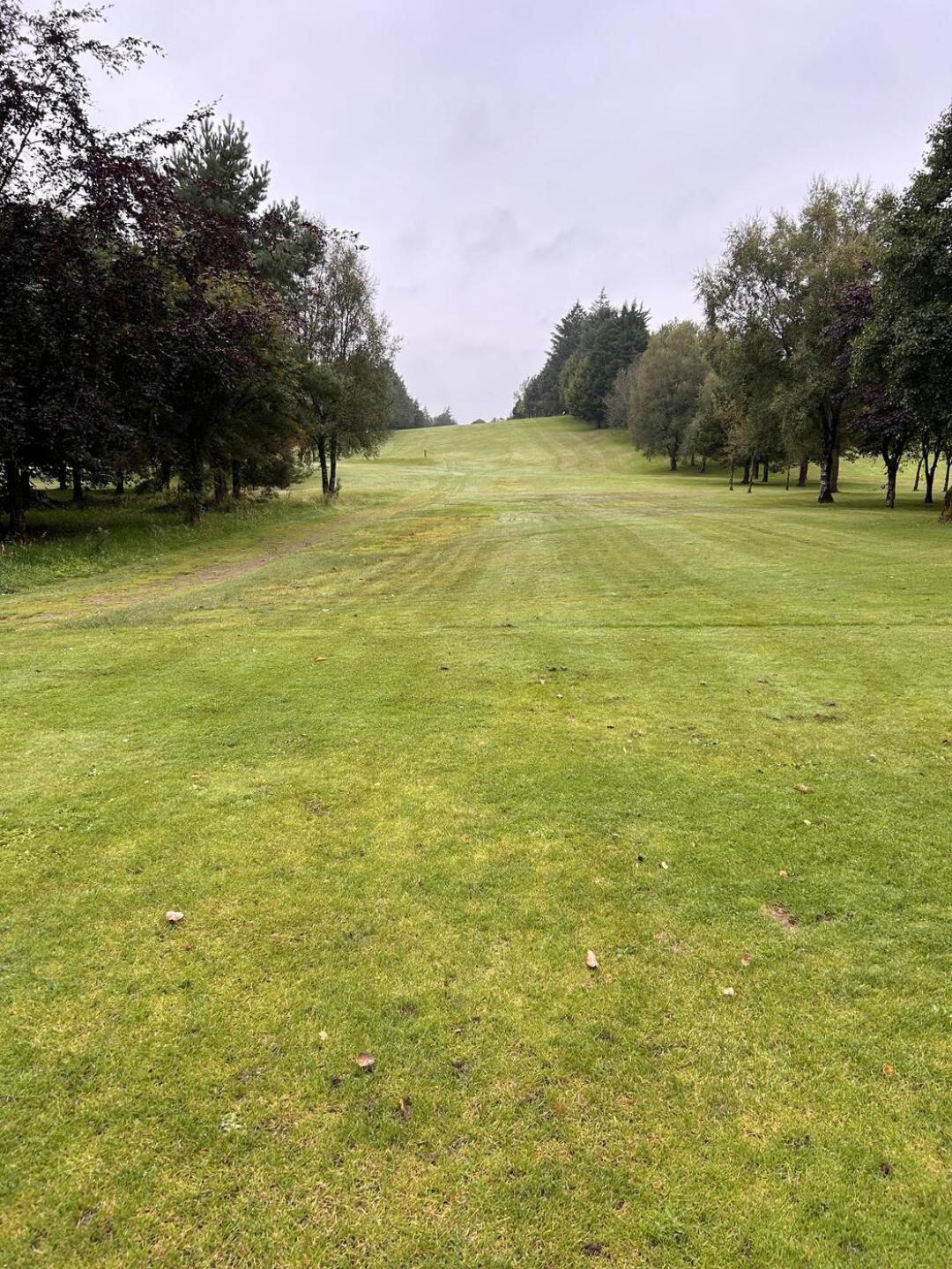 (Photo submitted by u314165575315 on 09/02/2024)