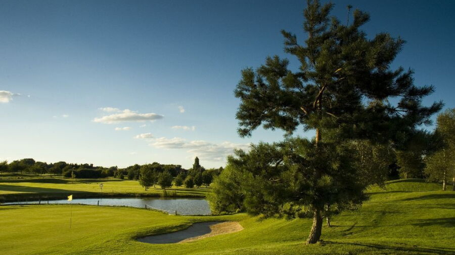 View from Bransford Golf Course