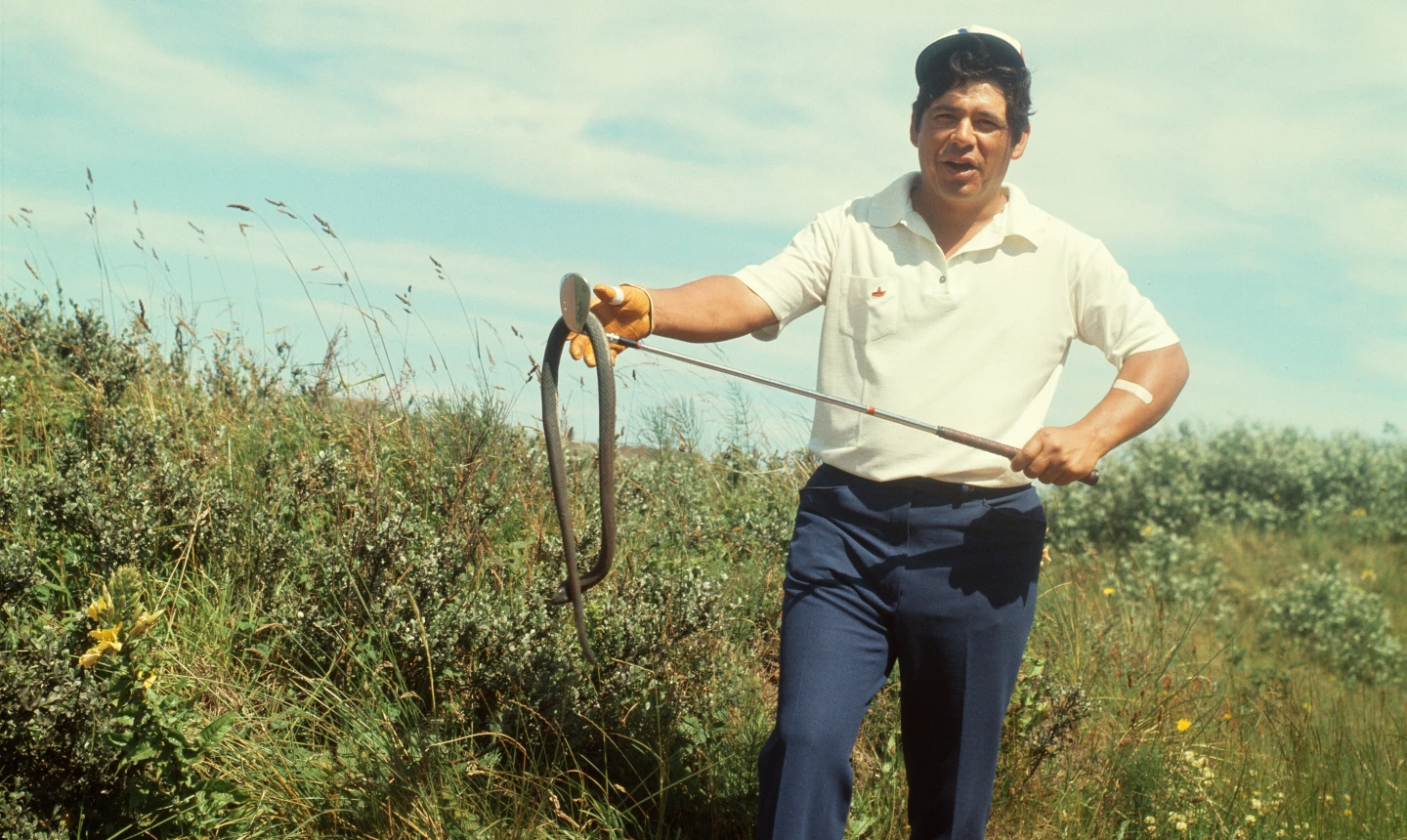 Lee Trevino - rubber snake at The Open in 1971